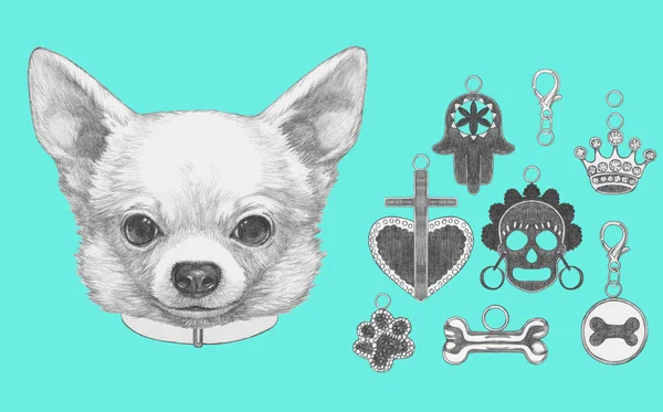 Şirin Chihuahua köpek el çekilmiş — Stok fotoğraf