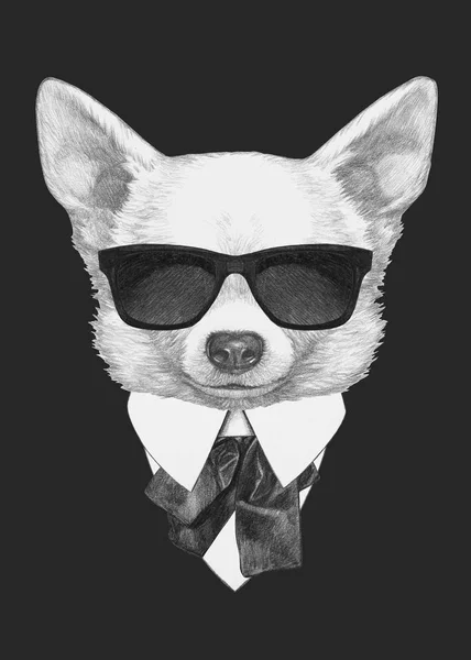 Şirin Chihuahua köpek el çekilmiş — Stok fotoğraf