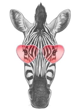 Zebra ile kalp şeklinde gözlük