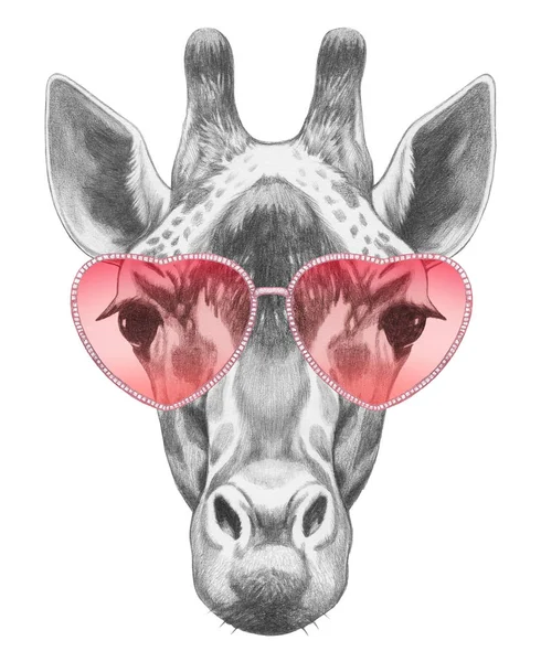 Giraffe with heart shaped glasses — Stock Photo, Image