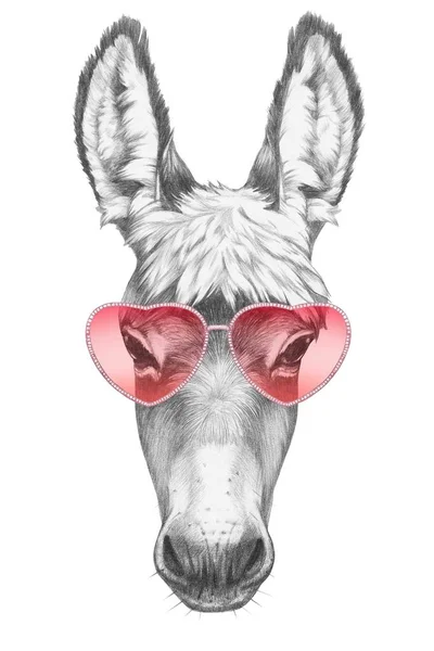 Burro con gafas en forma de corazón —  Fotos de Stock