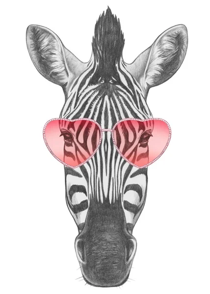 Zebra, szív alakú szemüveg — Stock Fotó