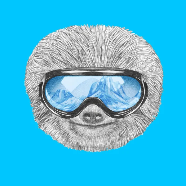 Ленивец в лыжных очках — стоковое фото