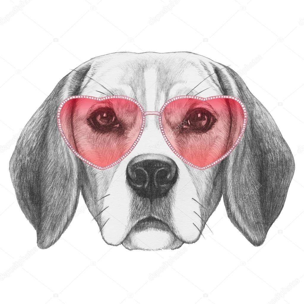 Beagle with heart shaped glasses
