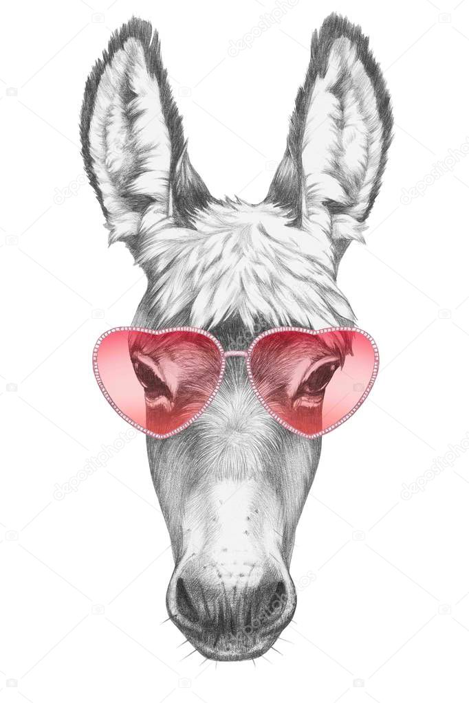 Donkey with heart shaped glasses