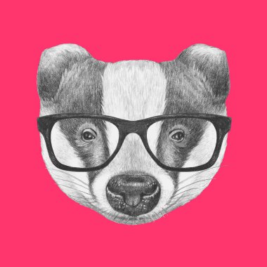 Porsuk portresi gözlüklü