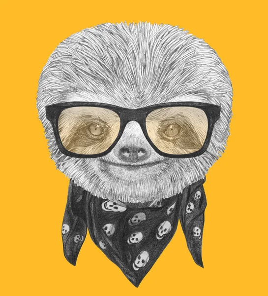 Portrait of Sloth  with sunglasses and scarf — Stock Photo, Image