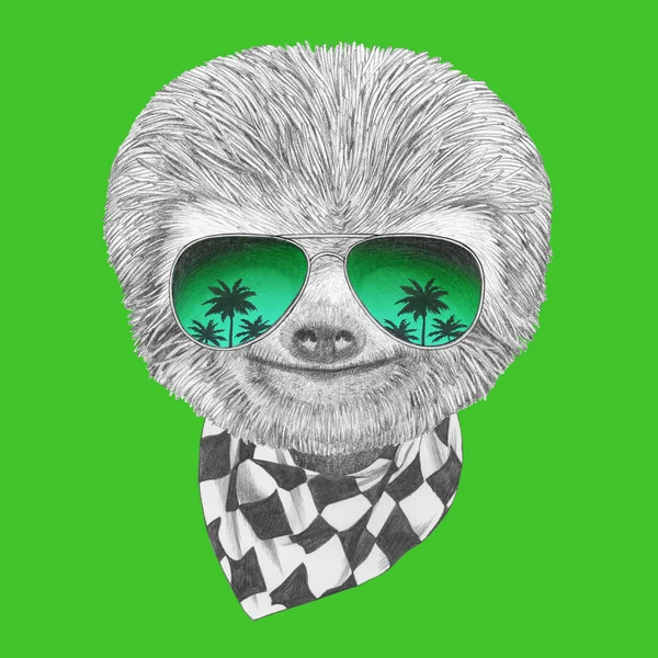 Sloth avec miroir lunettes de soleil et écharpe — Photo