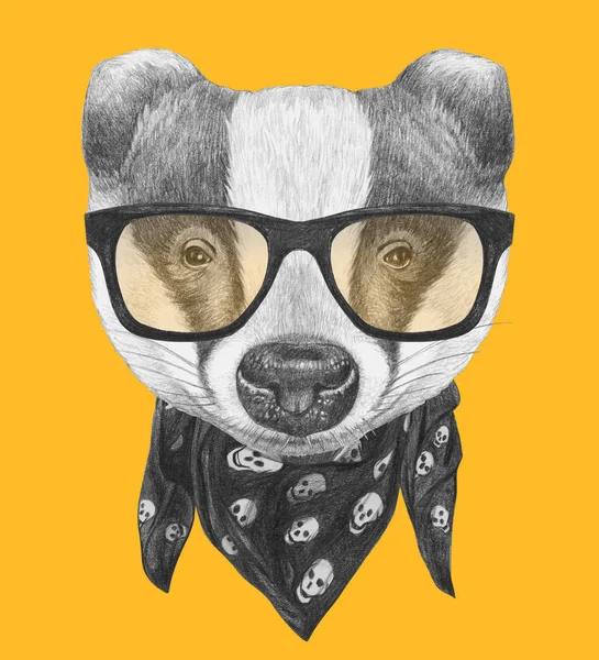 Badger  with sunglasses and scarf — Stock Photo, Image
