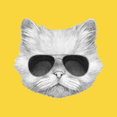 Siyah güneş gözlüğü ile Farsça kedi