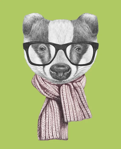 Барсук с шарфом и очками — стоковое фото