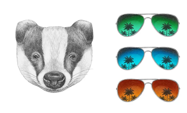 Badger met mirror zonnebril — Stockfoto