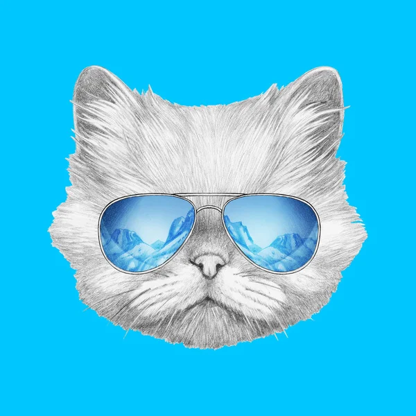 Persian Cat with mirror sunglasses — Stock Photo, Image