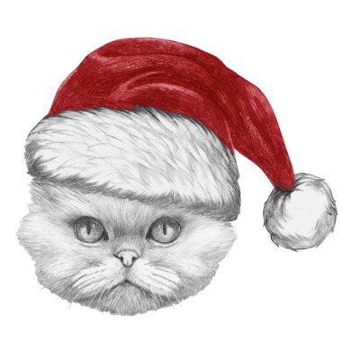 Noel Baba şapkası ile Farsça kedi