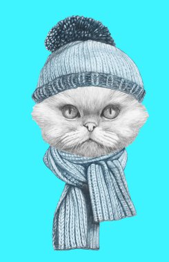 Atkı ve şapka ile Farsça kedi