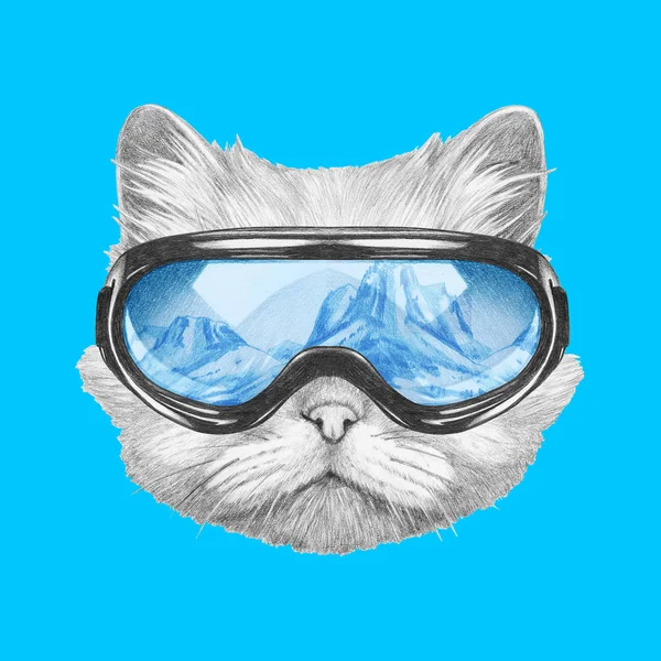 Persische Katze mit Skibrille — Stockfoto