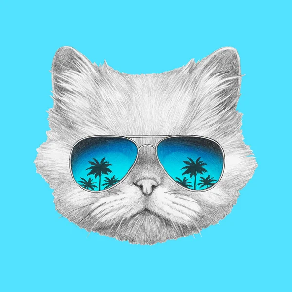 Perserkatze mit Spiegelsonnenbrille — Stockfoto