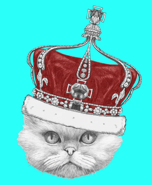 Chat persan avec couronne — Photo