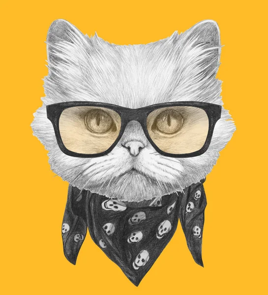 แมวเปอร์เซียที่มีแว่นกันแดดและผ้าพันคอ — ภาพถ่ายสต็อก