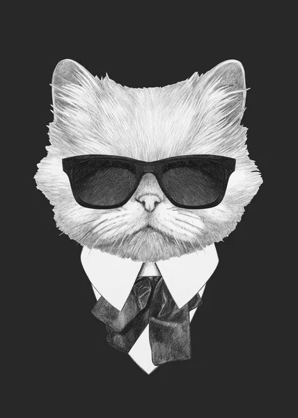 Персидский кот в костюме и очках — стоковое фото