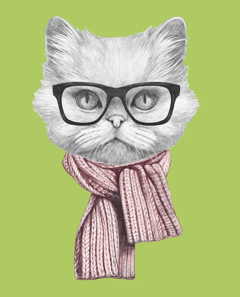 波斯猫围巾与眼镜 — 图库照片