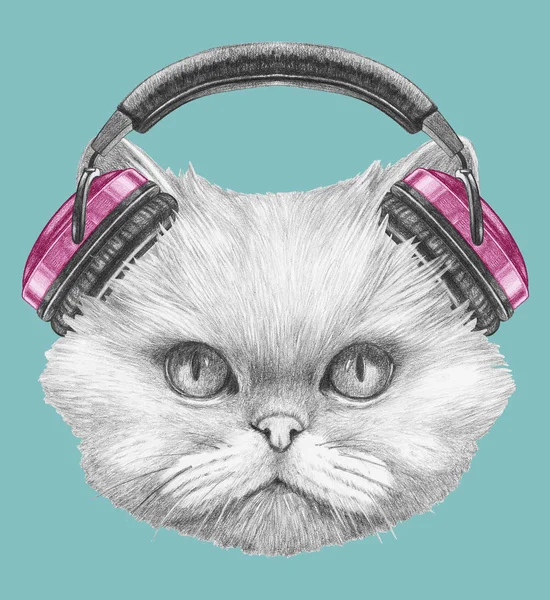 Gato persa con auriculares — Foto de Stock