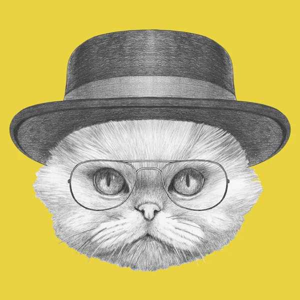 Gato persa con gafas — Foto de Stock