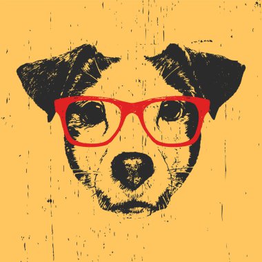 Jack Russell köpek gözlüklü portresi