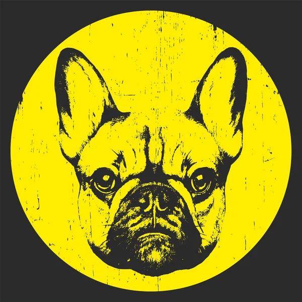 Retrato de bulldog francés — Vector de stock