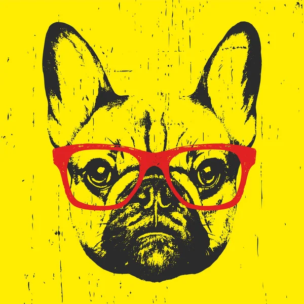 Retrato de Bulldog francés con gafas — Vector de stock