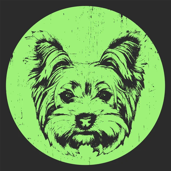 Retrato de Yorkshire terrier dog — Vector de stock