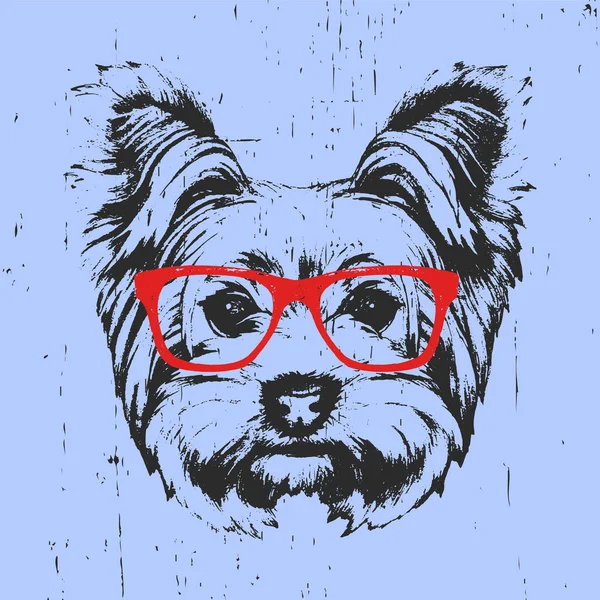 Portrait of Yorkshire Terrier Dog with glasses — Stock Vector