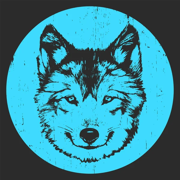 Porträt des Wolfes auf blauem Hintergrund — Stockvektor