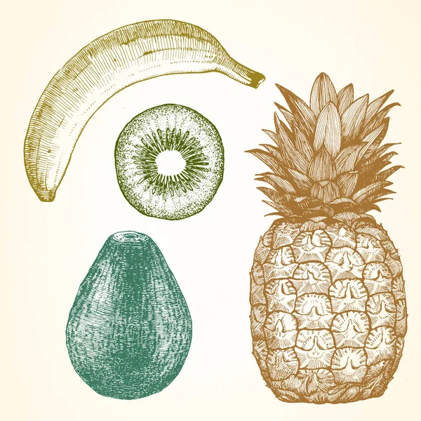 Färgglada banan, kiwi, avokado och ananas — Stock vektor