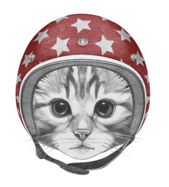Kitty portresi kask içinde