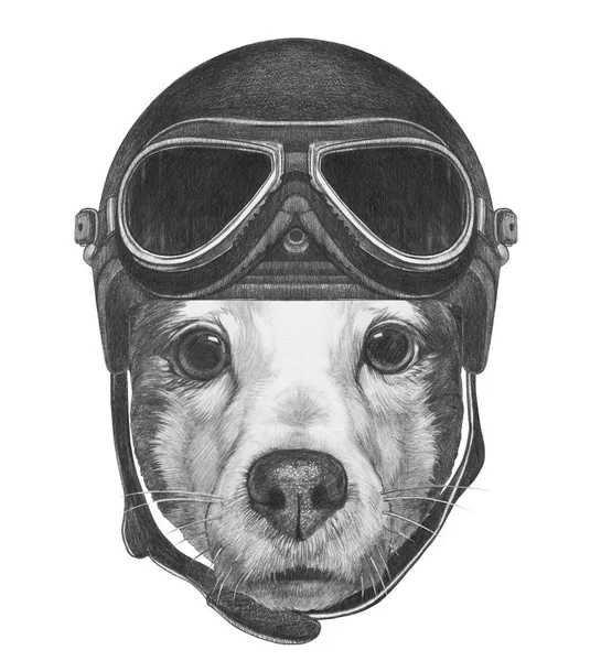Retrato de perro en casco — Foto de Stock