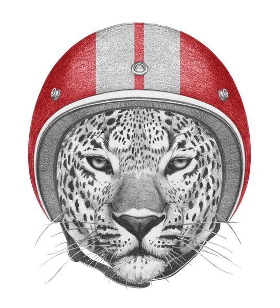 Ritratto di ghepardo in casco — Foto Stock