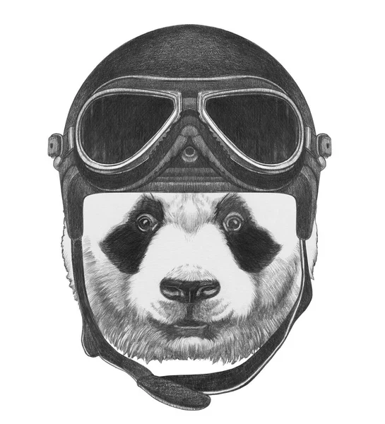 Portret Miś Panda — Zdjęcie stockowe