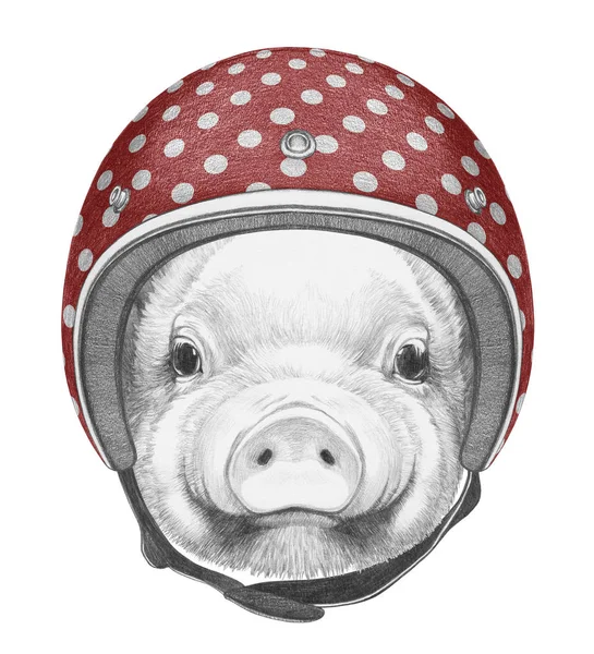 헬멧에 돼지의 초상화 — 스톡 사진