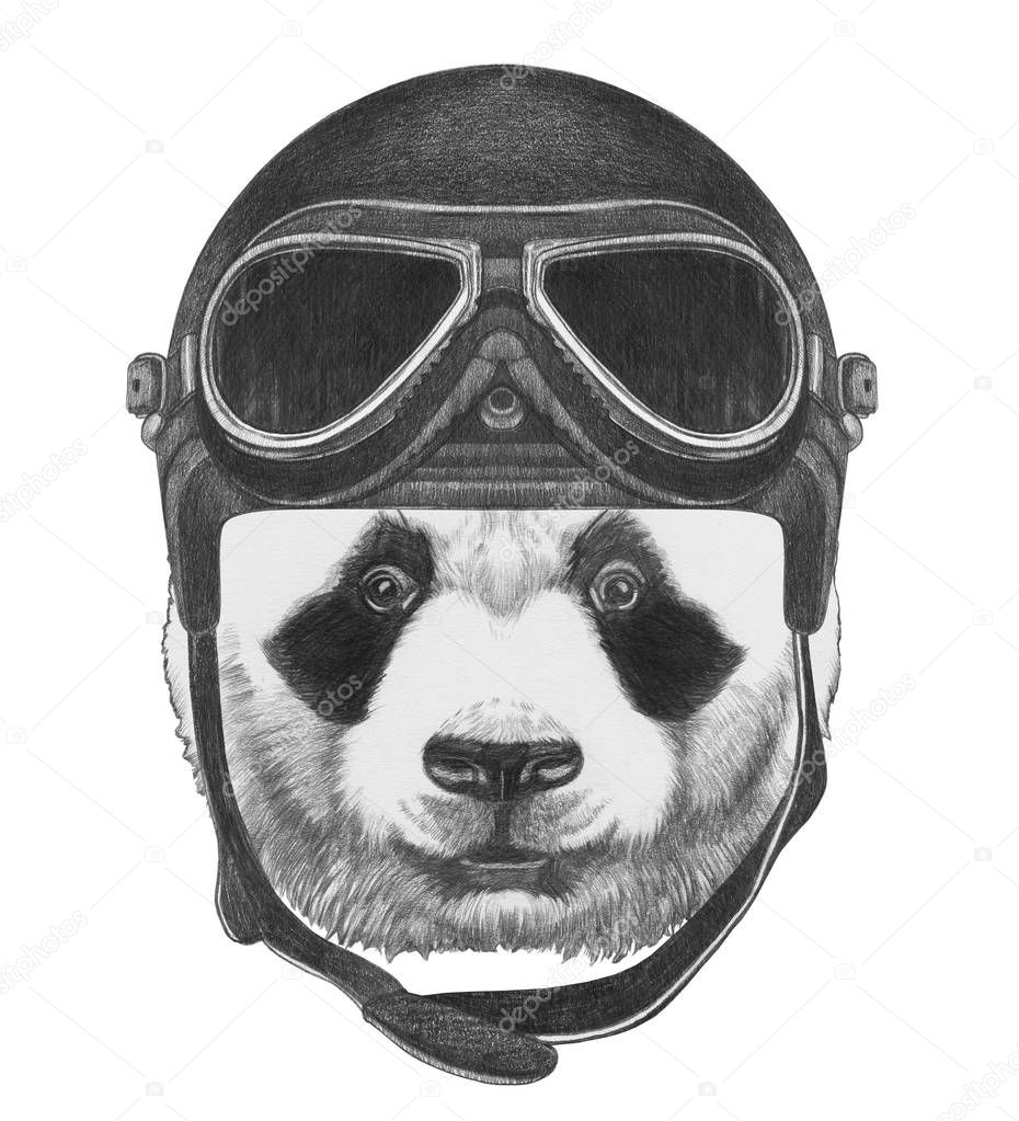 Portrait of Panda bear 