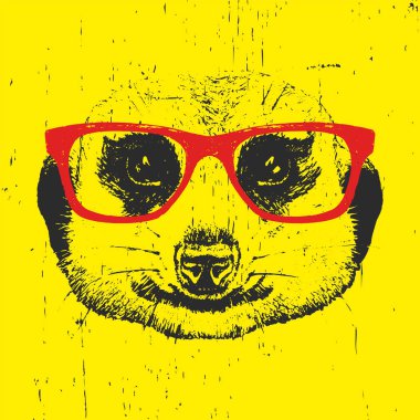 Suricata portresi gözlüklü.