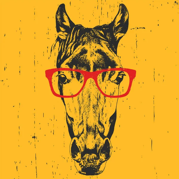 Retrato de Caballo con gafas . — Vector de stock