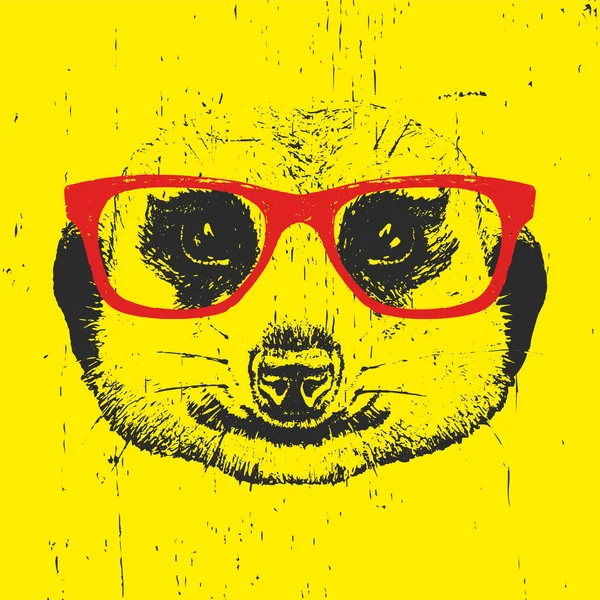 Suricata portresi gözlüklü.