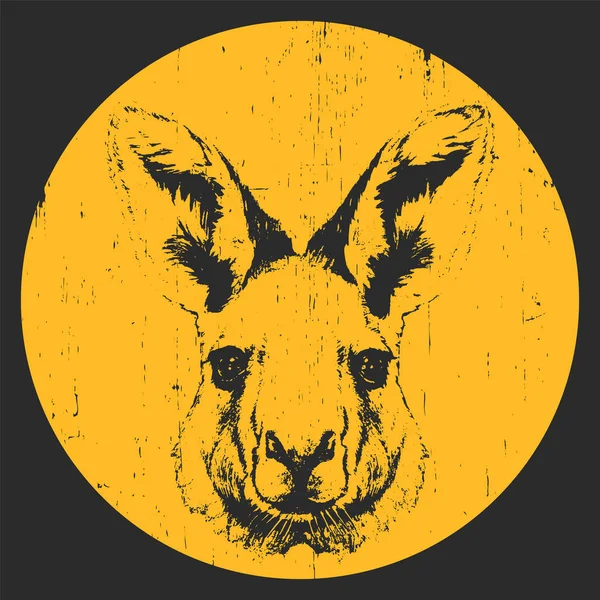 Kanguru el çizilmiş portresi — Stok Vektör