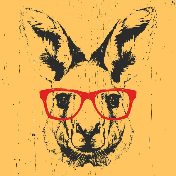 Ritratto di Canguro con occhiali . — Vettoriale Stock