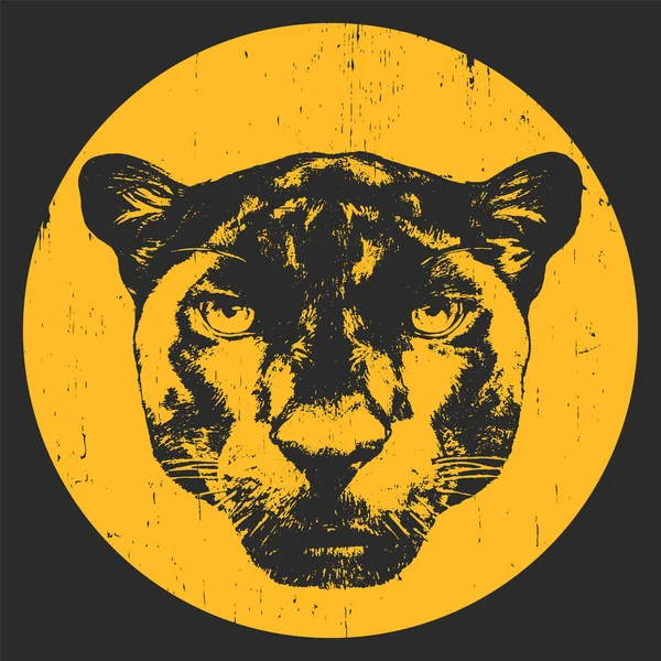 Handgezeichnetes Porträt des Panthers — Stockvektor