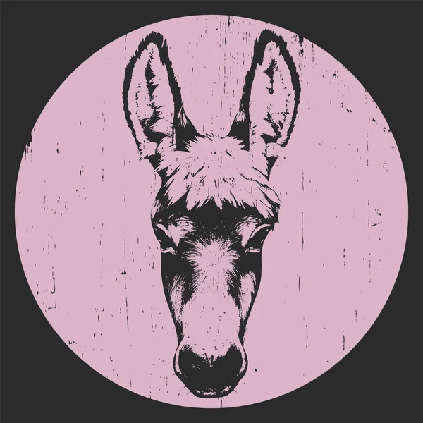 Retrato dibujado a mano de burro — Vector de stock