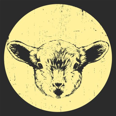 el koyun çizilmiş portresi