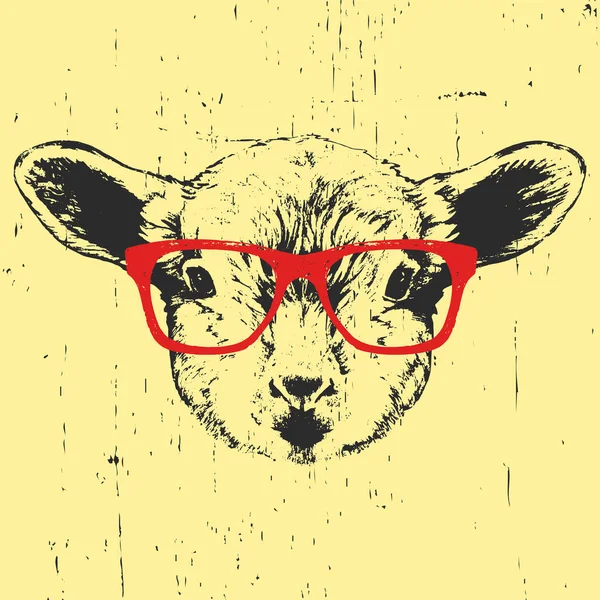 Retrato de oveja con gafas . — Vector de stock