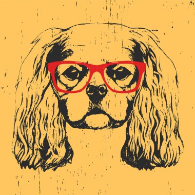 Gözlüklü köpek portresi.